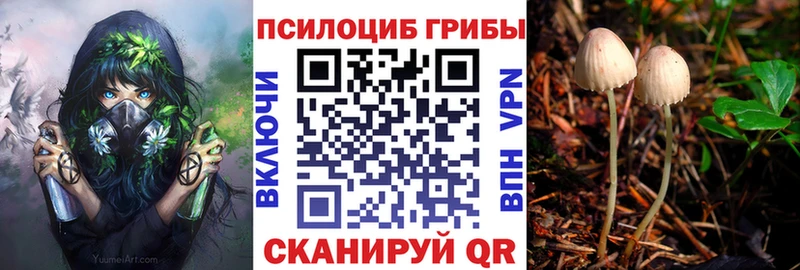 Псилоцибиновые грибы мицелий  где купить   Северо-Курильск 